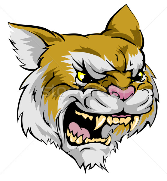 Wildcat mascot character Stock photo © Krisdog