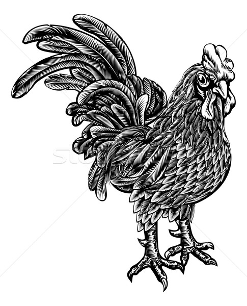 Woodcut Rooster Chicken Stock photo © Krisdog