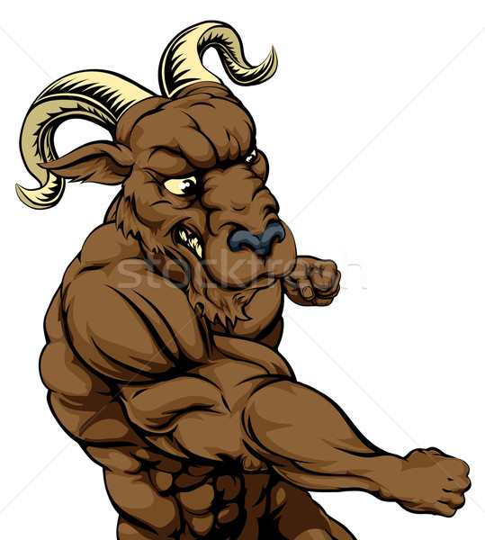 Imagine de stoc: Berbec · mascota · lupta · greu · muscular