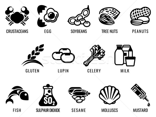Food Allergen Icons Stock photo © Krisdog
