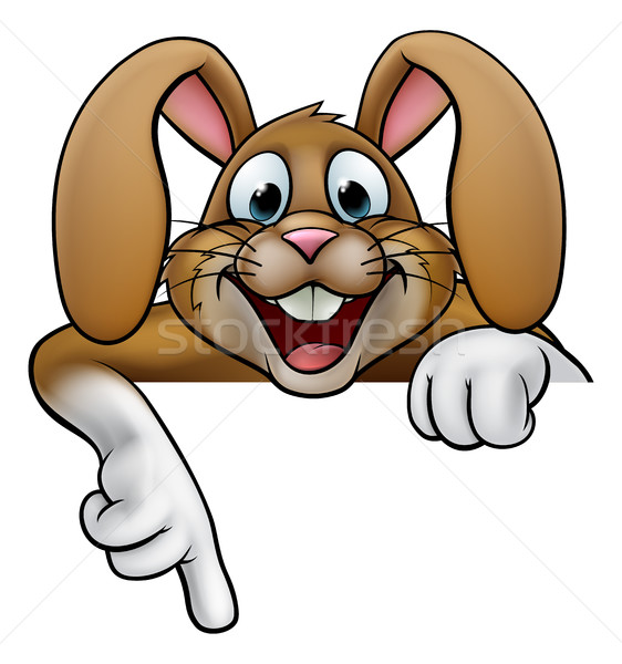 Zdjęcia stock: Easter · bunny · królik · wskazując · cartoon · podpisania · szczęśliwy