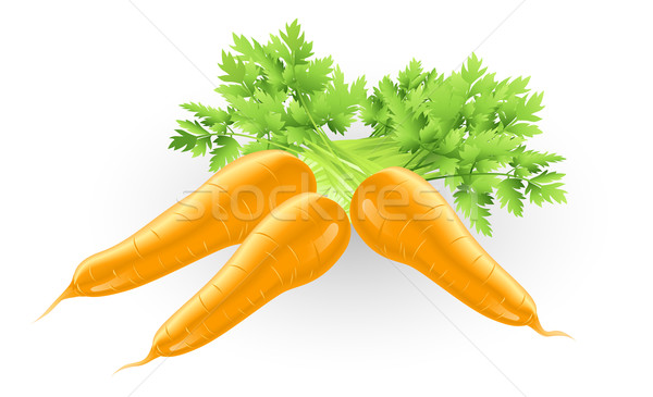 Fresh tasty orange carrots illustration Stock photo © Krisdog