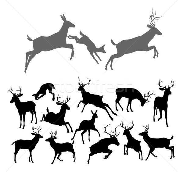 Stock photo: Deer Silhouettes