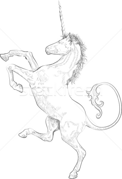 unicorn Stock photo © Krisdog