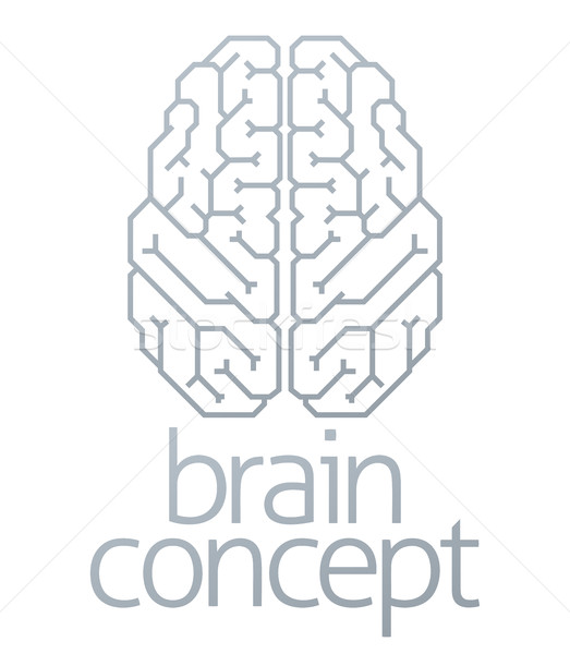 Brain Concept Top Stock photo © Krisdog