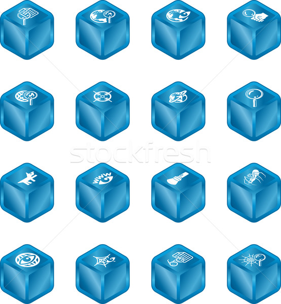 Web Search Cube Icon Series Set Stock photo © Krisdog