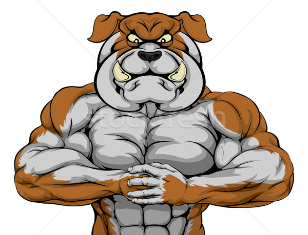 Erős bulldog kabala néz karakter kész Stock fotó © Krisdog