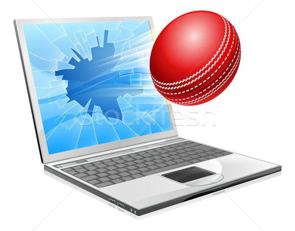 Cricket laptop broken screen concept Stock photo © Krisdog