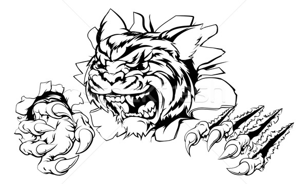 Tygrys przełom rysunek papieru twarz Zdjęcia stock © Krisdog