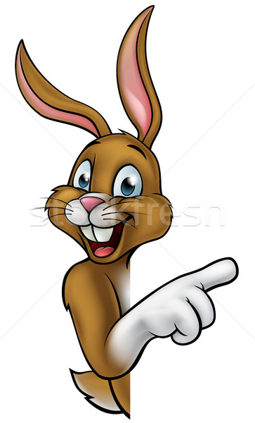Bunny кролик Cartoon Пасхальный заяц указывая счастливым Сток-фото © Krisdog