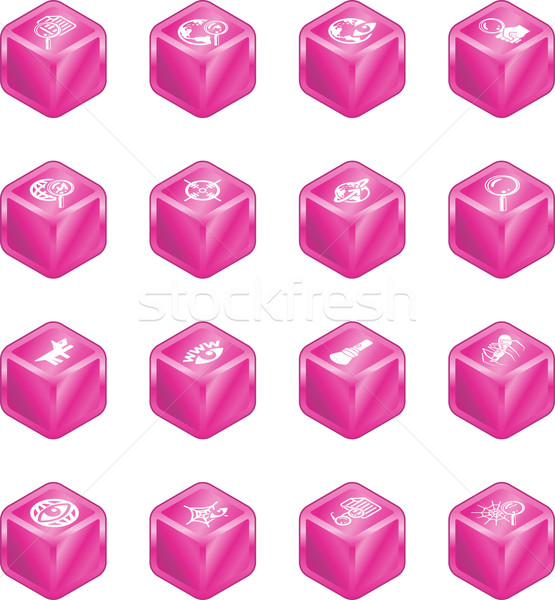 Web Search Cube Icon Series Set Stock photo © Krisdog