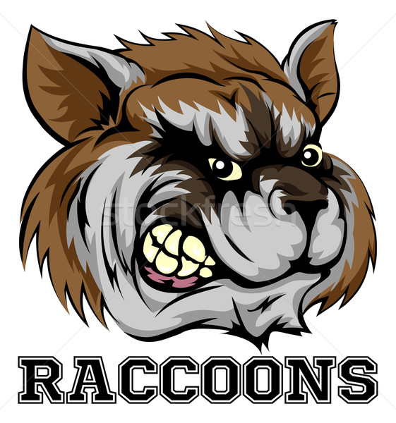 Raccoons Mascot Stock photo © Krisdog