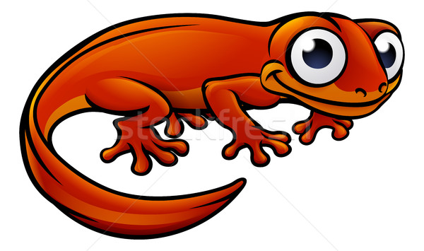 Newt or Salamander Cartoon Character Stock photo © Krisdog
