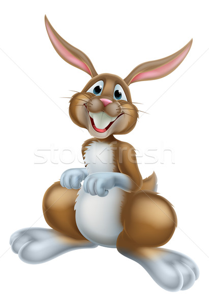 Easter bunny tavşan karikatür sevimli mutlu tavşan Stok fotoğraf © Krisdog