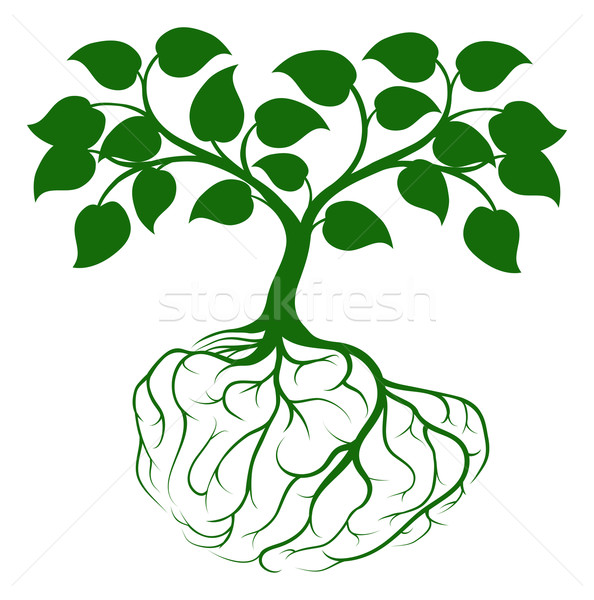 Tree with brain roots Stock photo © Krisdog