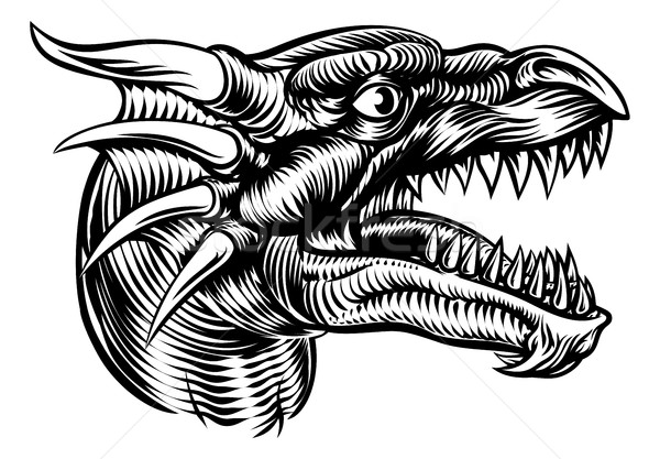 Dragão cabeça projeto original ilustração monstro Foto stock © Krisdog