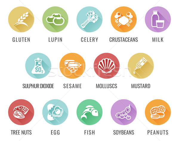 Allergen Food Allergy Icons Stock photo © Krisdog
