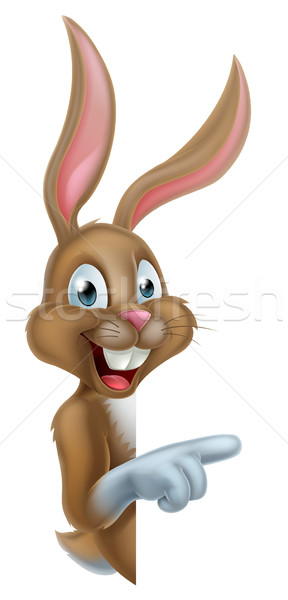Cartoon указывая Пасхальный заяц кролик вокруг знак Сток-фото © Krisdog
