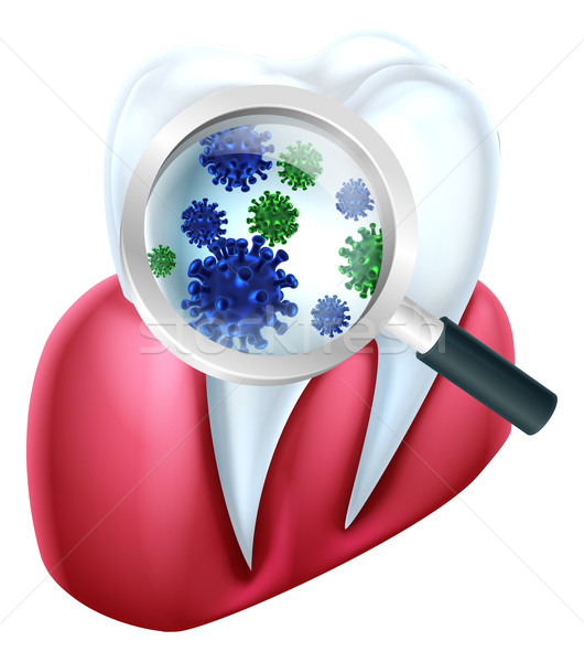 Zdjęcia stock: Zębów · guma · bakteria · medycznych · stomatologicznych · ilustracja