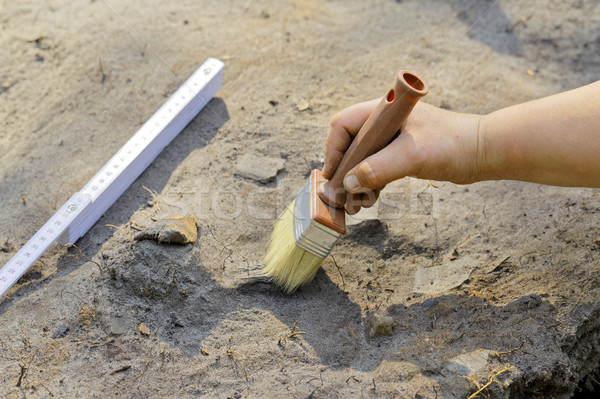 Stage of archaeological work - clearing Stock photo © krugloff
