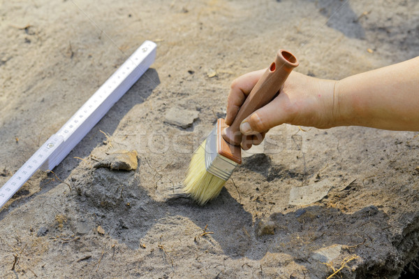 Etapie archeologiczny pracy cienki Zdjęcia stock © krugloff