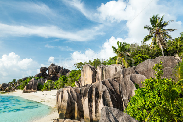 [[stock_photo]]: Plage · granit · turquoise · mer · eau · feuille