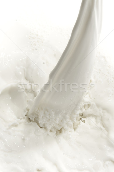 Stock foto: Milch · splash · weiß · Essen · trinken