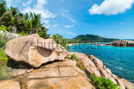 Tropikalnej plaży dłoni turkus morza niebo wody Zdjęcia stock © kubais