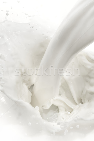 milk splash Stock photo © kubais