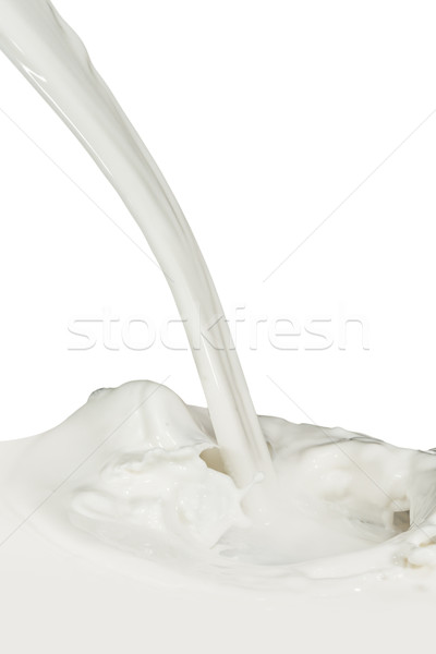 Milch splash isoliert weiß abstrakten Stock foto © kubais