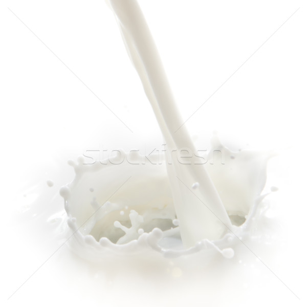 Milch splash Gießen isoliert weiß Essen Stock foto © kubais