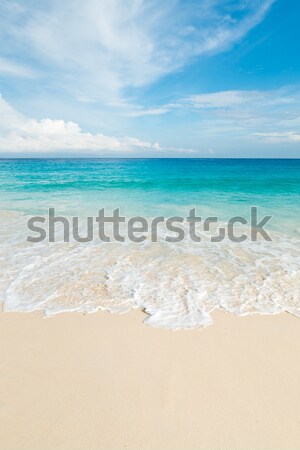 тропический пляж бирюзовый воды небе пейзаж фон Сток-фото © kubais