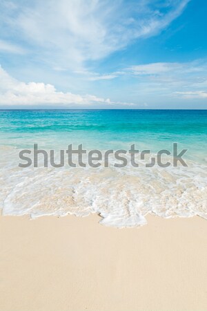 Plage tropicale turquoise eau ciel paysage fond [[stock_photo]] © kubais