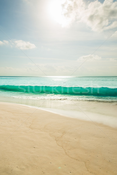 Plage tropicale turquoise eau ciel paysage fond [[stock_photo]] © kubais