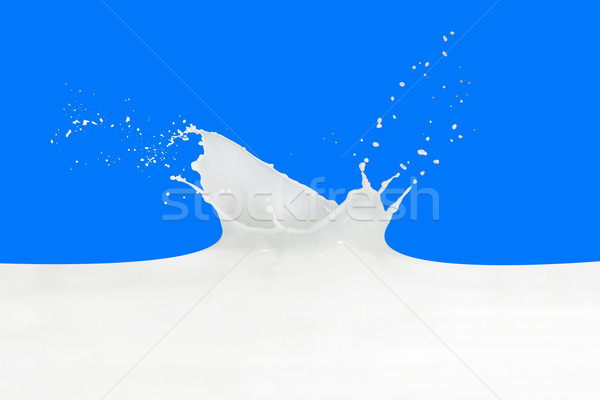 Leche Splash aislado azul pintura Foto stock © kubais