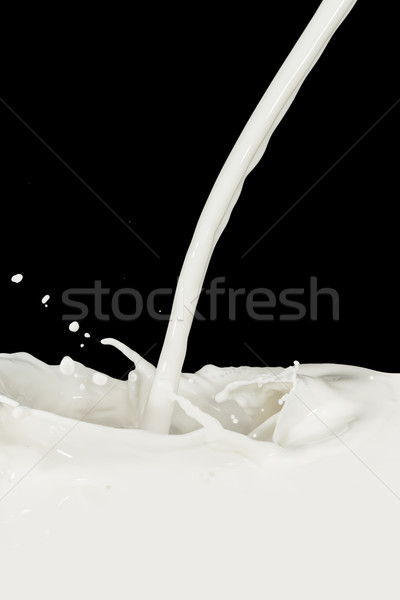 牛奶 濺 孤立 黑色 畫 商業照片 © kubais