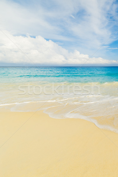 Plage tropicale turquoise eau ciel paysage fond [[stock_photo]] © kubais