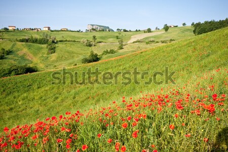 Foto stock: Típico · toscana · paisaje · italiano · región · Toscana