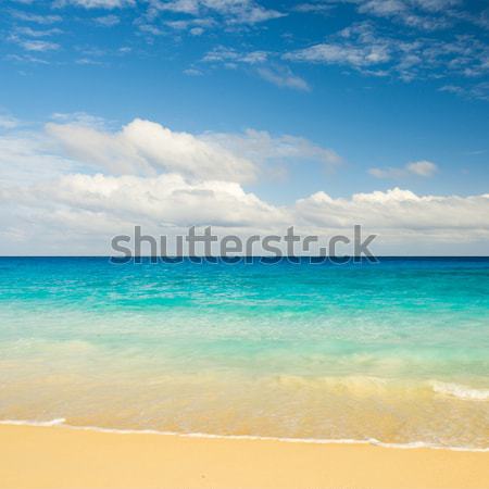 熱帯ビーチ ターコイズ 水 空 風景 背景 ストックフォト © kubais