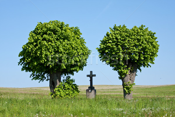 Imagine de stoc: Trece · câmp · copaci · natură · verde · albastru