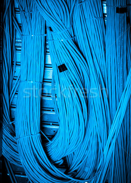 Netzwerk Kabel Technologie blau Gruppe Stock foto © kubais