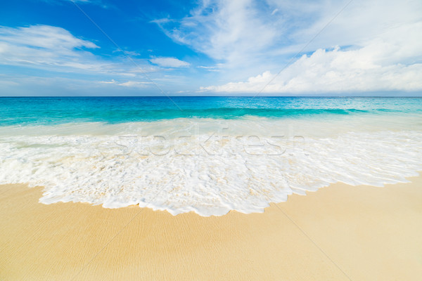 Tropikalnej plaży turkus wody niebo krajobraz tle Zdjęcia stock © kubais