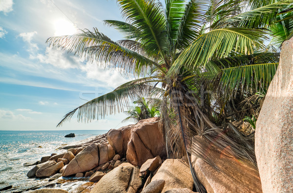 tropical turquoise sea with granite boulders Stock photo © kubais