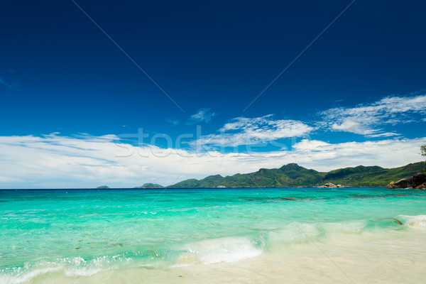 Stock photo: tropical beach