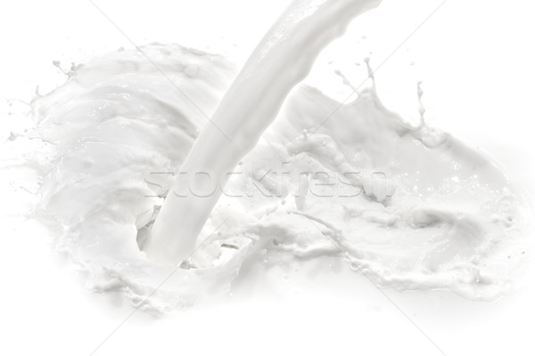 ミルク スプラッシュ 白 食品 ドリンク ストックフォト © kubais