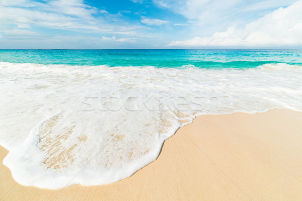 tropical beach Stock photo © kubais