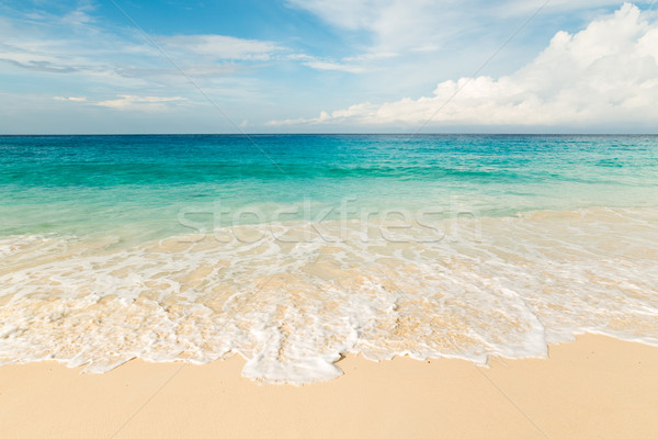tropical beach Stock photo © kubais