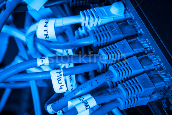 Stock photo: network hub and patch cables