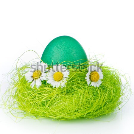 Easter egg yuva boyalı bahar mutlu yeşil Stok fotoğraf © kubais