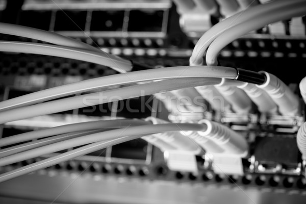 network cables Stock photo © kubais